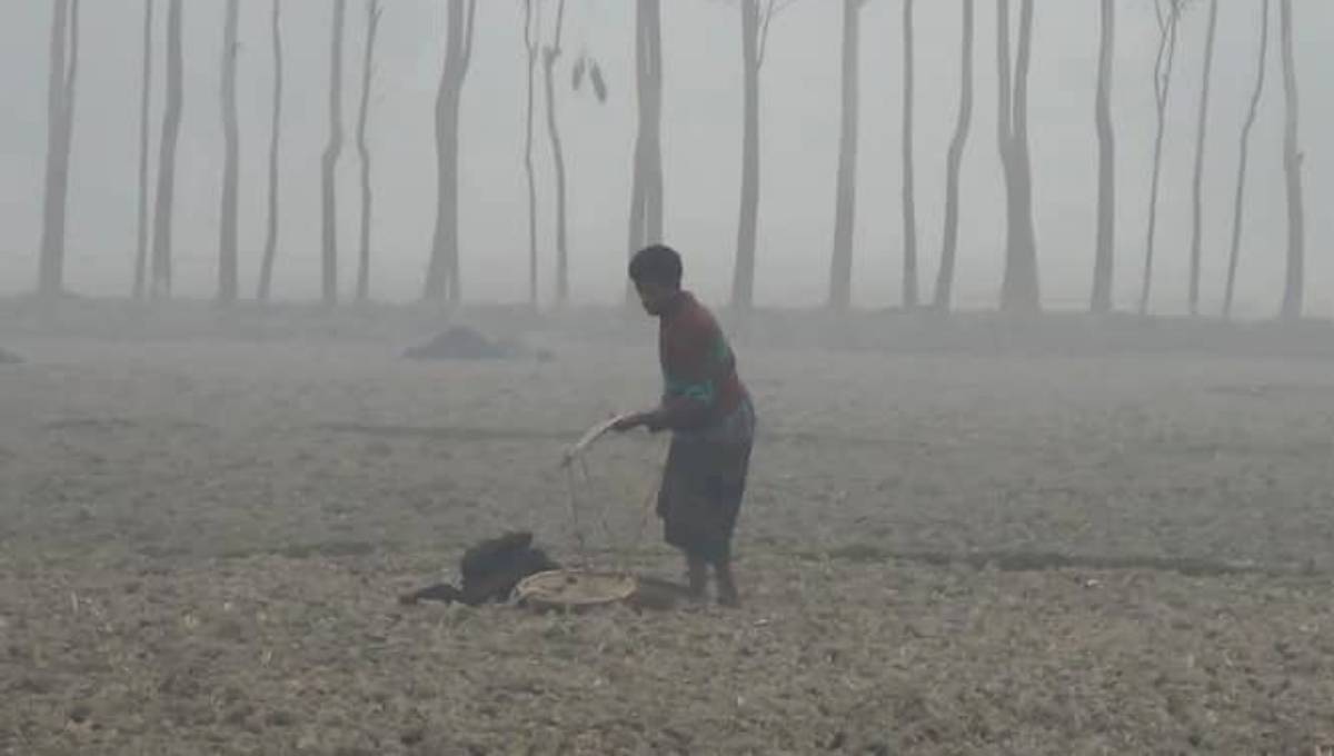 দেশের পাঁচটি জেলায় বেড়েছে শীতের তীব্রতা